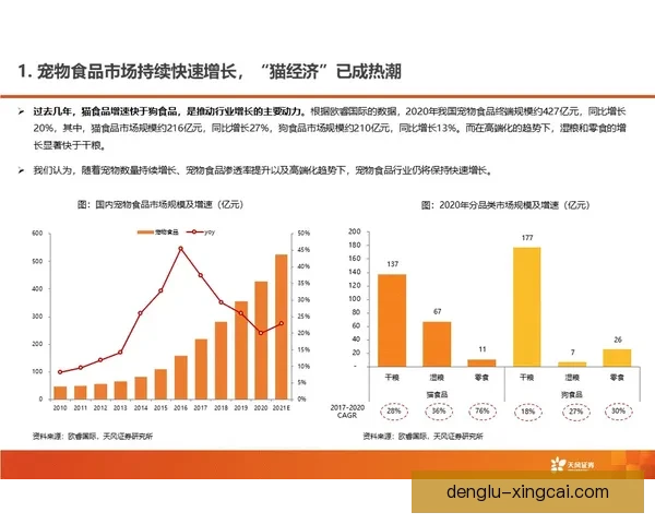 曼城俱乐部股东结构解析及未来发展战略展望 曼城俱乐部股东结构解析及未来发展战略展望